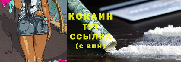 гашик Алексеевка