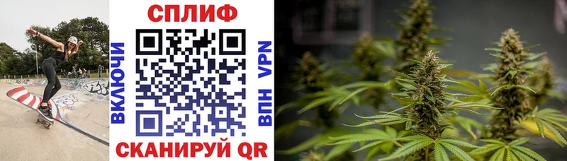 ОМГ ОМГ вход  Кириши  нарко площадка как зайти  Конопля гибрид 